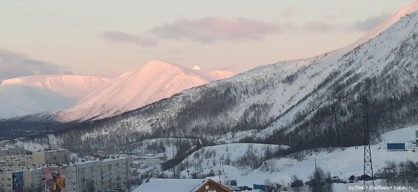 Поликлиника кировск мурманской области