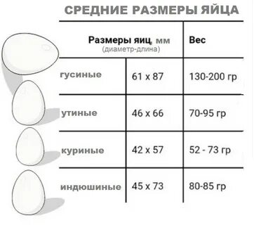 Яйцо с2 размер