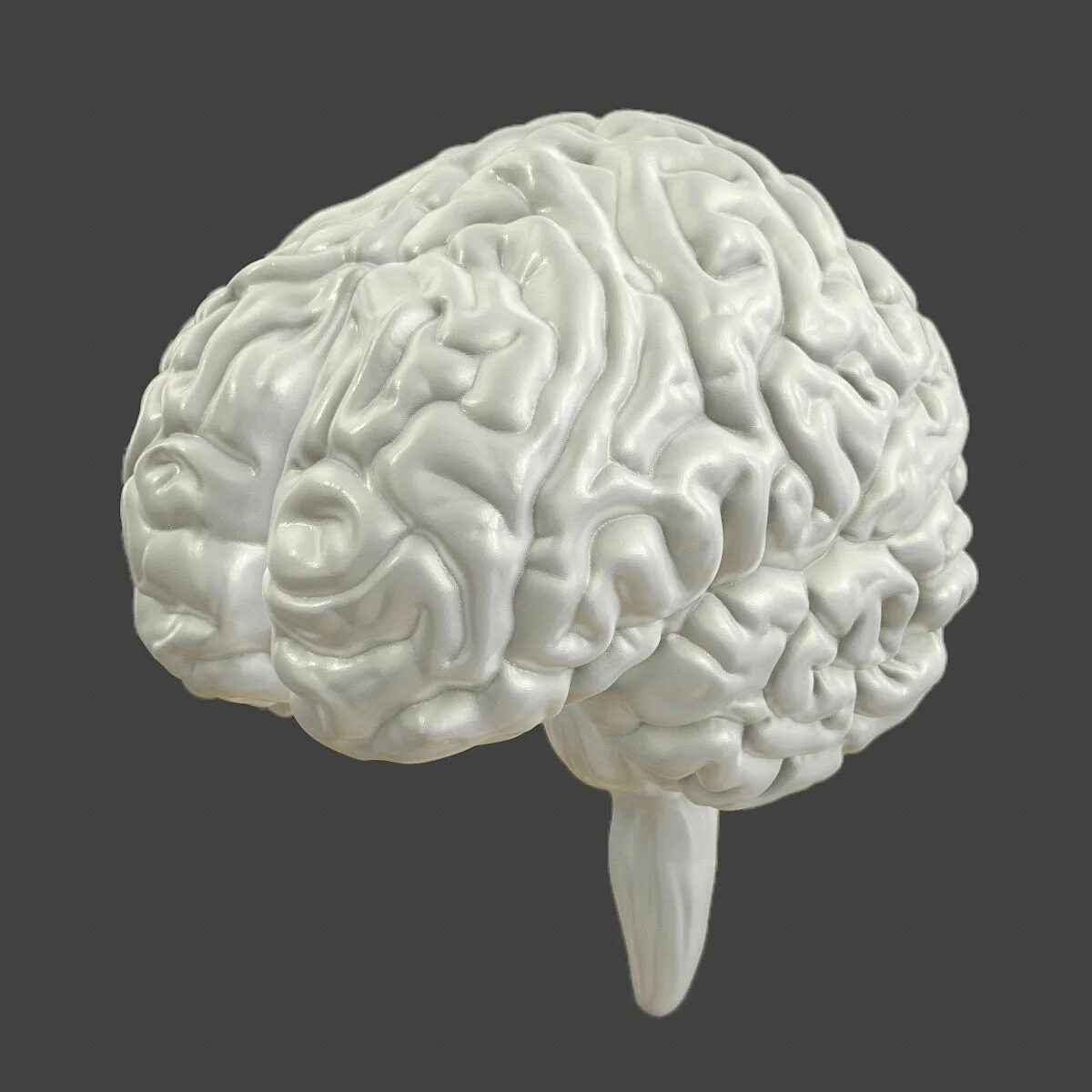 Brain model. Brain 3d model Envanto. Модель мозга объемная.
