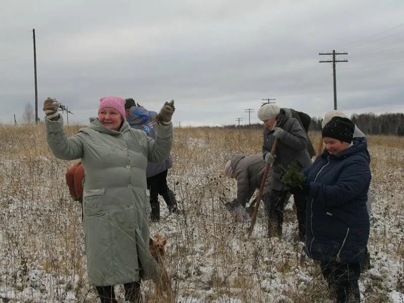 Погода в валамазе красногорского. Сельское хозяйство Селтинский район. Поселок Валамаз Красногорский район Удмуртия. Музей Кудрявцева Валамаз Селтинский район.