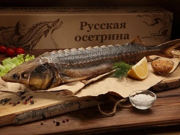 Стерлядь лявенги. Стерлядь лявенги. Стерлядь царская рыба. Астраханский осетр. Ленско русский осетр.