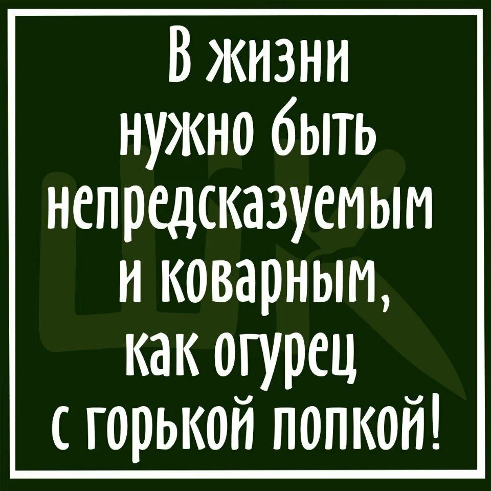 Давай жизненный совет. Жизненные советы. Полезные жизненные советы. Смешные жизненные советы. Хороший шуточный совет.