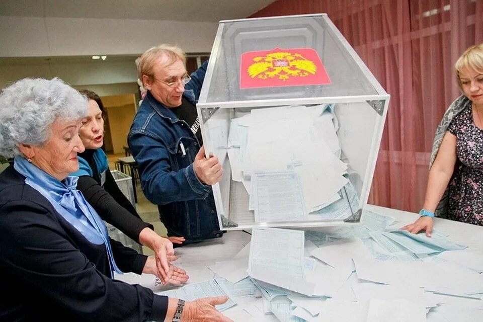 Описание фото на выборах. Выборы фото. подготовка к выборам фото. американец на выборах призывающий. выборы президента фото.