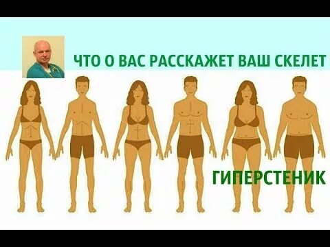 Тип людей астеник. Конституция тела человека нормостеник. астеник гиперстеник. конституция тела гиперстеник. астеник нормастеник гиперстеник.