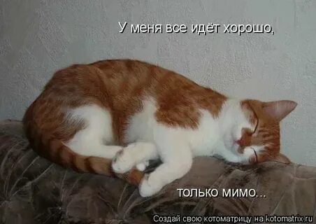 Хорошо я пошла собираться