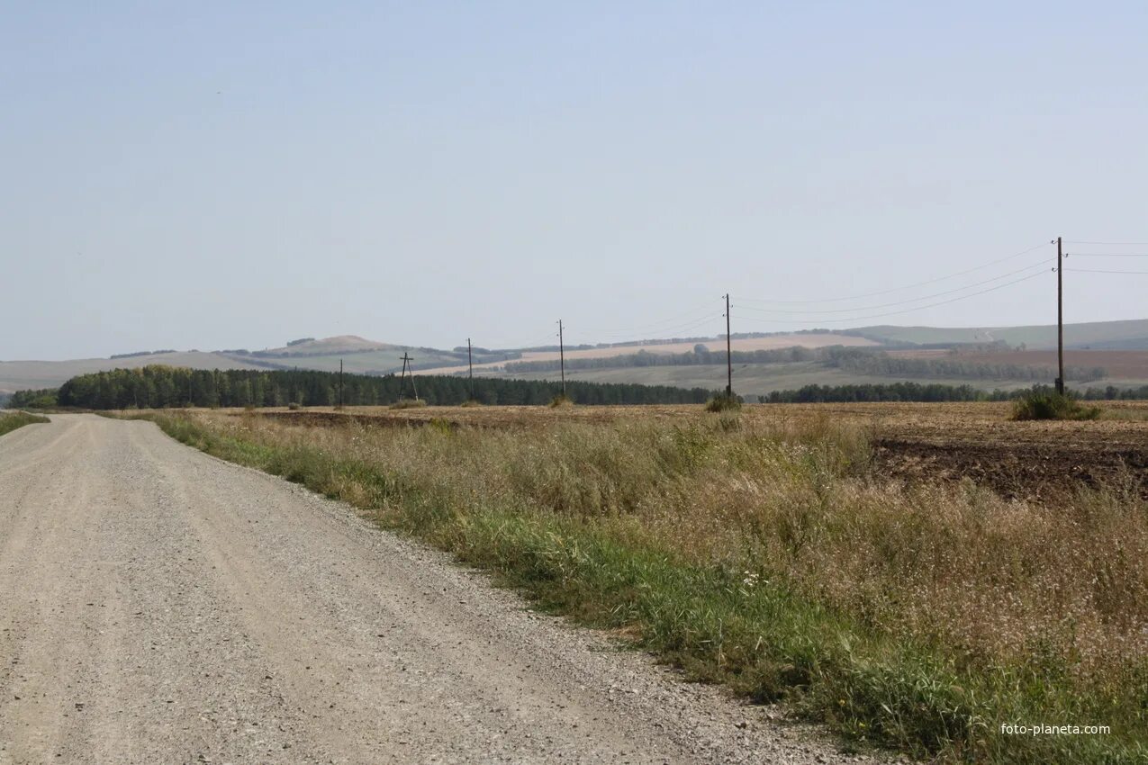 Погода целинный район село целинное. Село Шалап Алтайский край. Шалап Целинный район. С Шалап Целинного района Алтайского края. Шалаб Целинный РАЙОНАЛТАЙСКИЙ край.