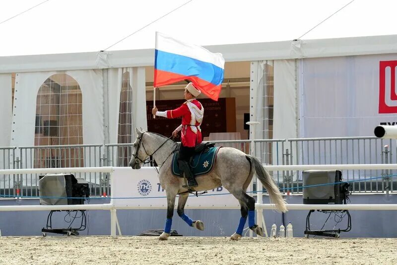 Конный спорт екатеринбург. Кск серебряная подкова красный яр. Дюсш по конному спорту. Верховая езда. Коный спорт екатеринбург.