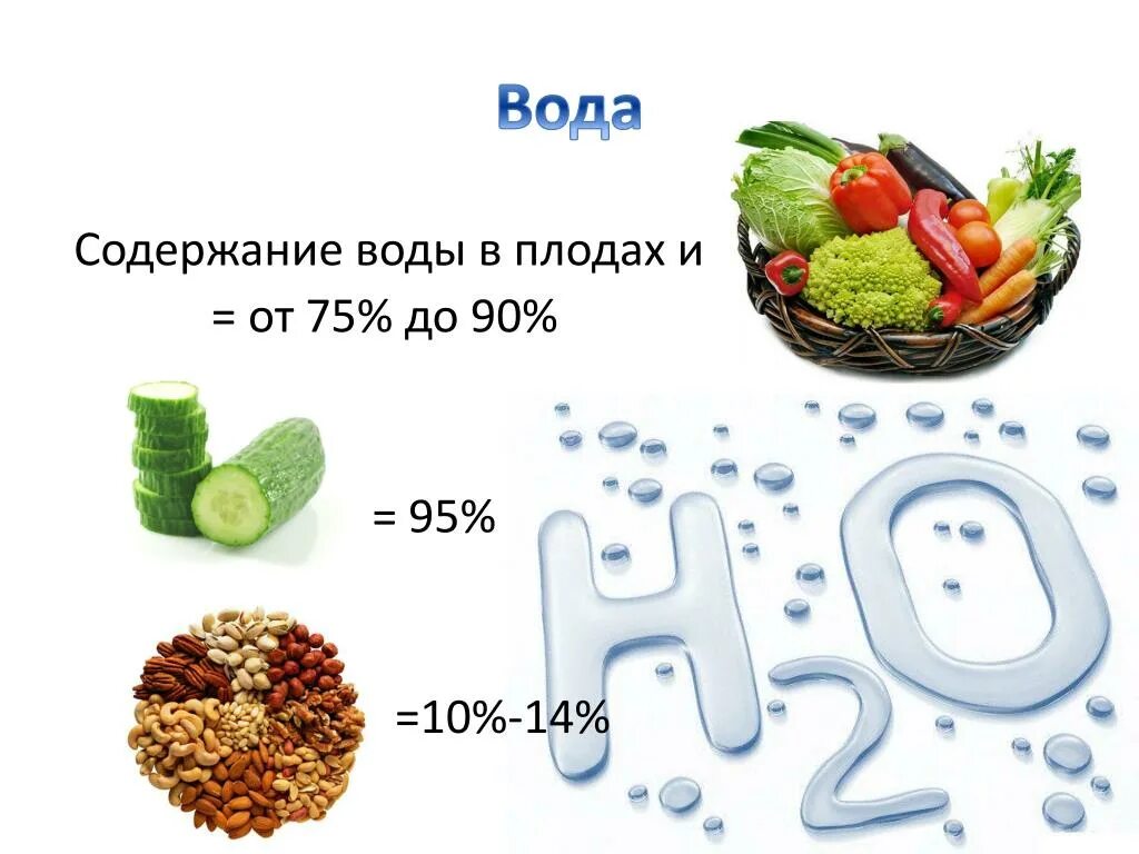 Содержание воды в пище. Содержание воды в продуктах. Содержание воды в пищевых продуктах. Содержание воды в овощах и фруктах.