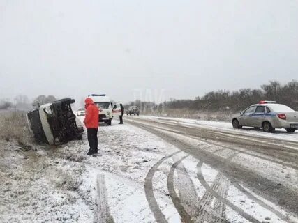 Погода в новоржеве сейчас