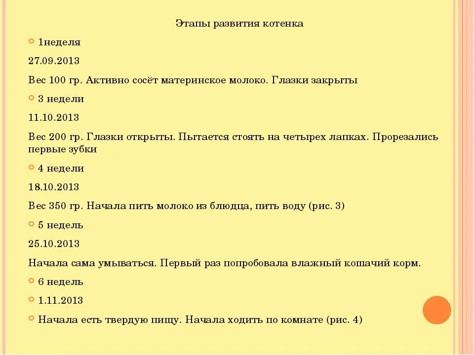 Фазы роста котят. Стадии развития котенка по неделям. этапы развития котенка по неделям. этапы развития котенка с рождения. периоды взросления котят.