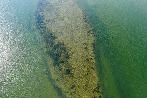 Отдых на азовском море 2024