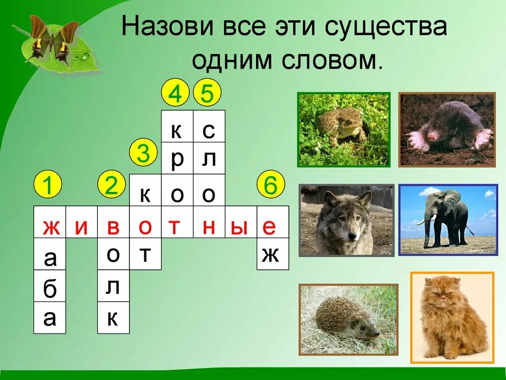 Кроссворд про окружающий мир. Кроссворд 2 класс окружающий мир животные. Кроссворд на тему животные. Кроссворд на тему животные с вопросами и ответами. Кроссворд про животных 3 класс.