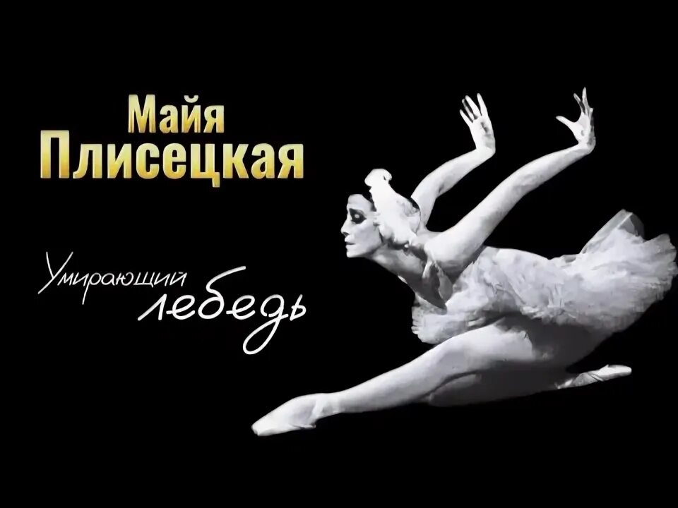 Майя плисецкая лебедь видео. Майя плисецкая лебедь видео