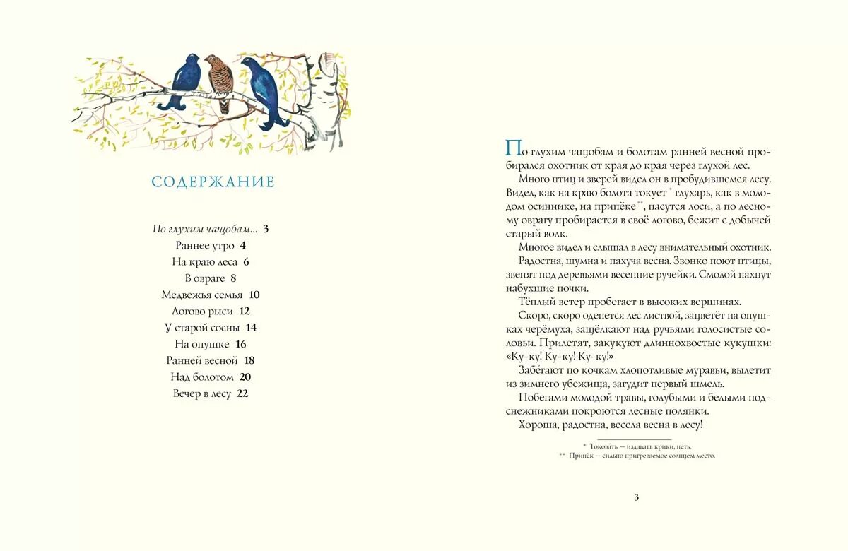 сибирская тайга бурелом. сибирские болота бурелом. флотилия, не замеченная неприятелем, приступила к высадке. битцевский лес ручей.