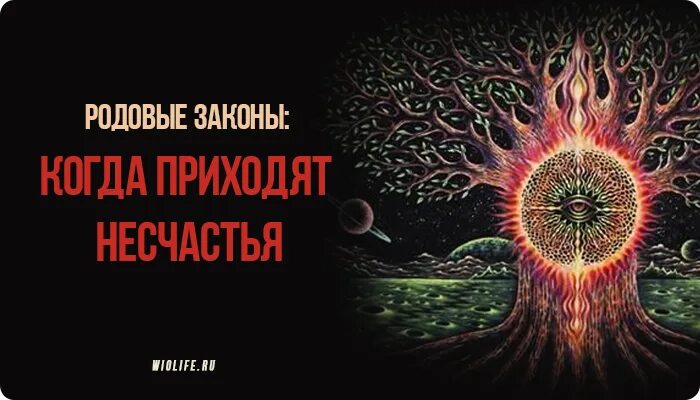 Сила рода картинки. Законы рода 1 аудиокнига. 5 законов рода. Родовые программы. Законы рода картинки.