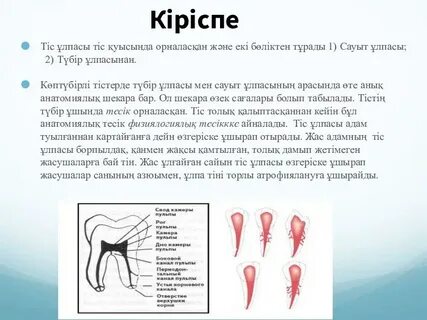 Үйдегі порно видео