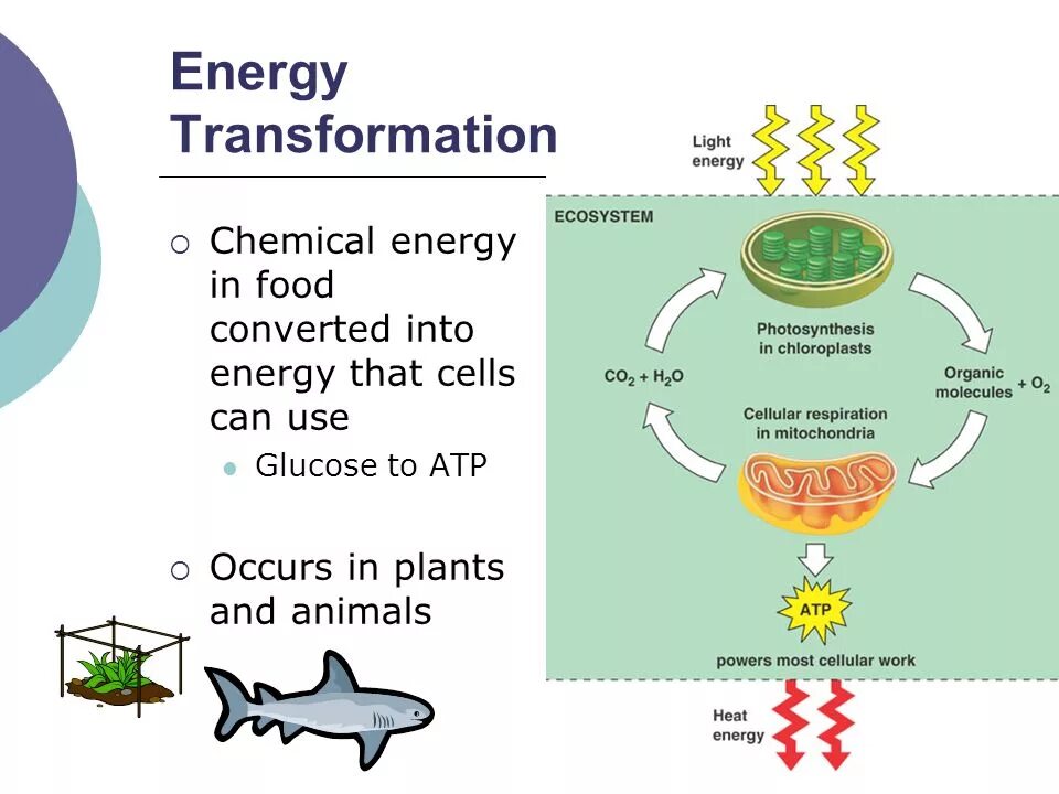 Global transformations
