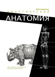 Анатомия интернет магазина