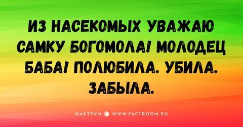 Молодец баба