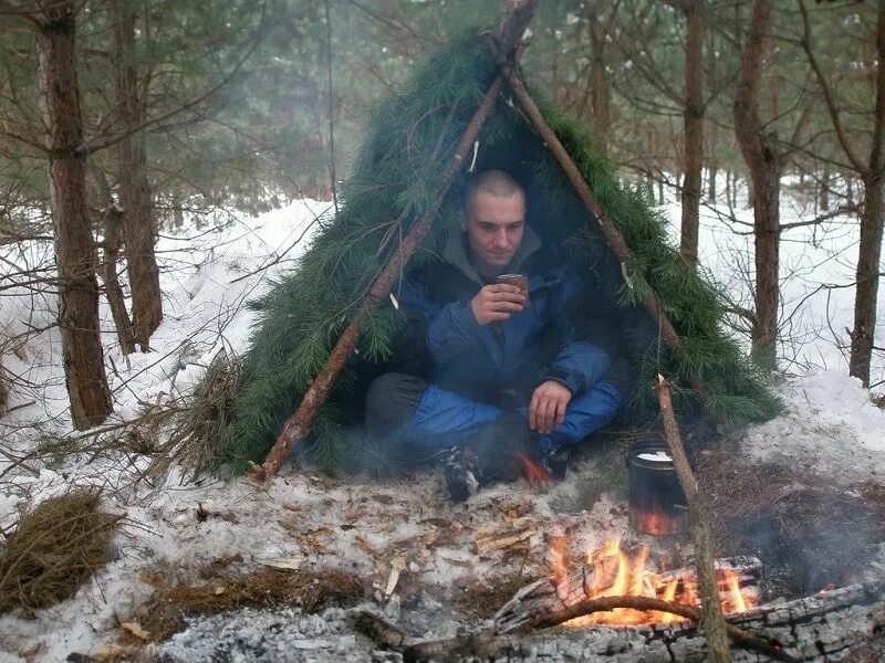 Люди будут жить в лесу. Выживание в лесу. Автономное существование человека. Автономное существование человека в природной среде. Автономное выживание в лесу.