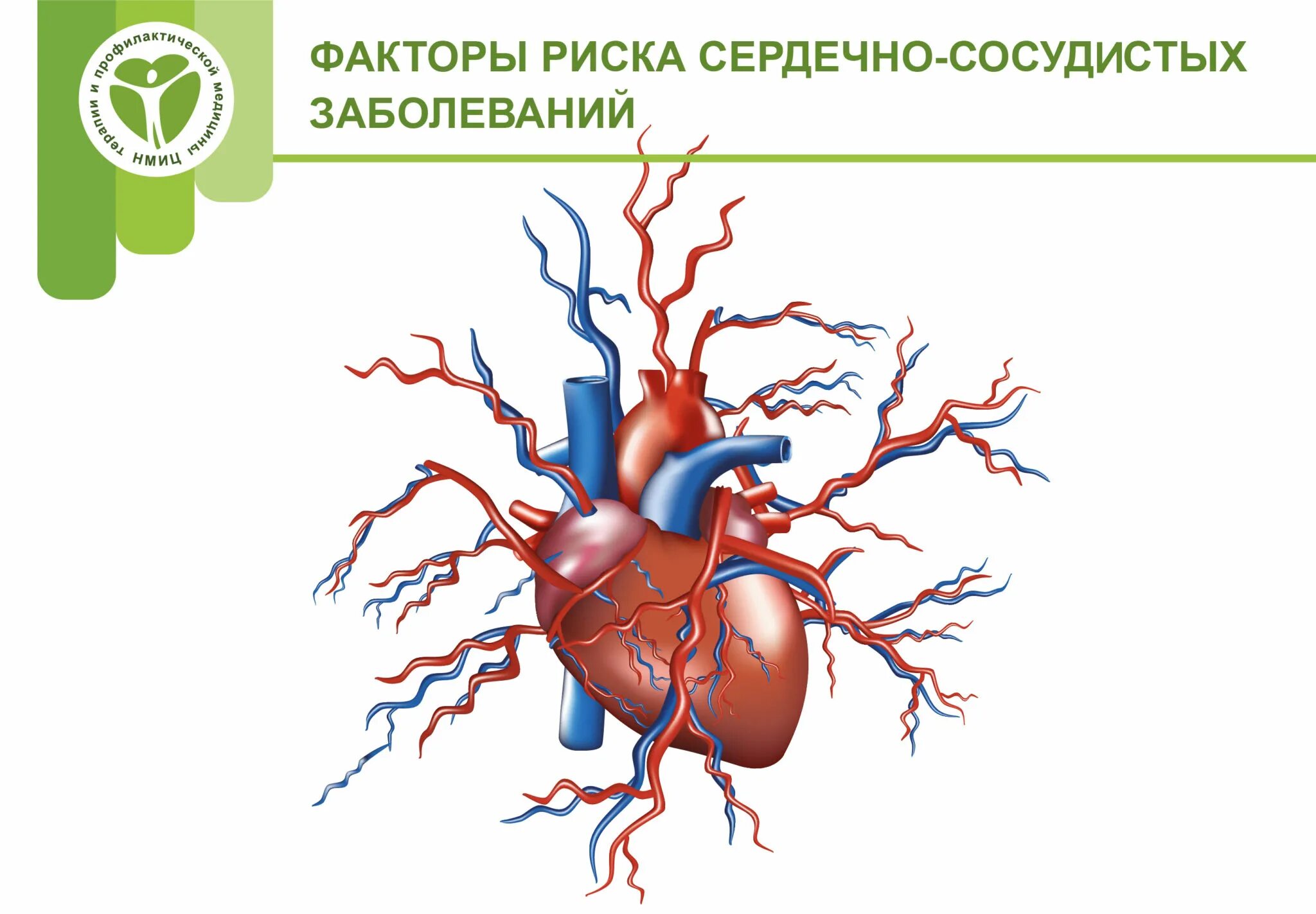 Сердечный ковид. Факторы риска возникновения сердечно-сосудистых заболеваний. Факторы риска при ССС. Основные факторы риска заболевания ССС. Факторы риска формирования сердечно-сосудистой патологии.