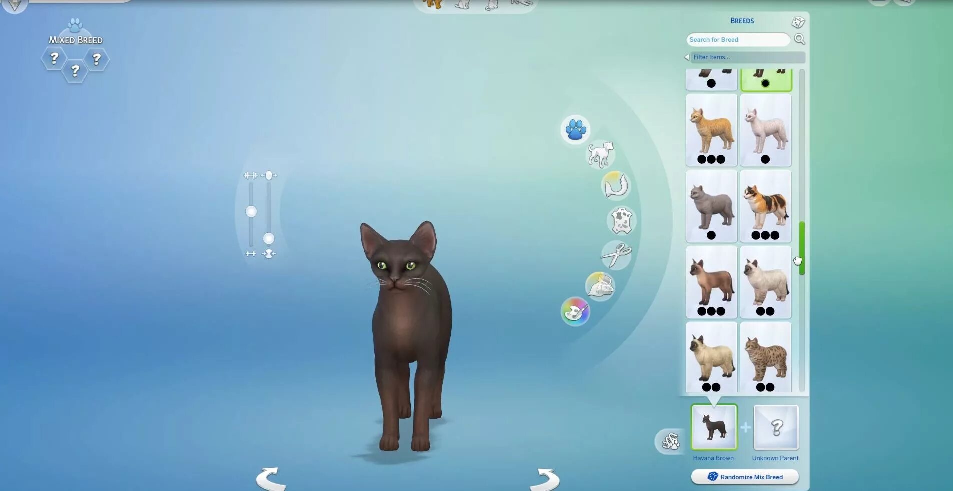 Игра сделай кошку. Симс 4 кошка. SIMS 4 Pets Скриншот. Симс 4 кошки и собаки. Создание питомцы симс 4.