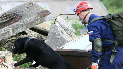 Отряд центроспас располагает разнообразной