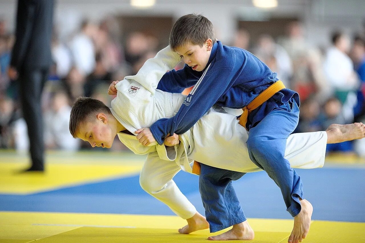 турнир по дзюдо. детское дзюдо. дзюдо дети соревнования. дзюдо детские соревнования. соревнования по дзюдо дети.