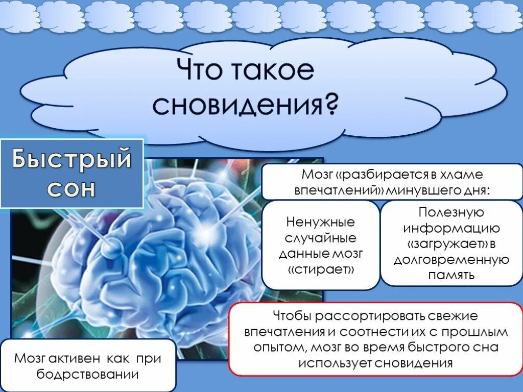 Сон и мозг. Сновидения мозг человек. Картинка мозг и сновидения. Мозг во время сна.