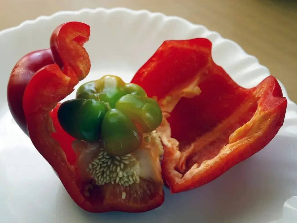 Less peppers. Внутри болгарского перца зародыш. Болгарский перец. Болгарский перец внутри. Болгарский перец изнутри.