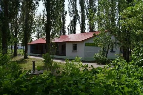 Лагерь солнечный
