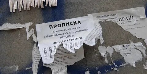 Пропишу 1 человека