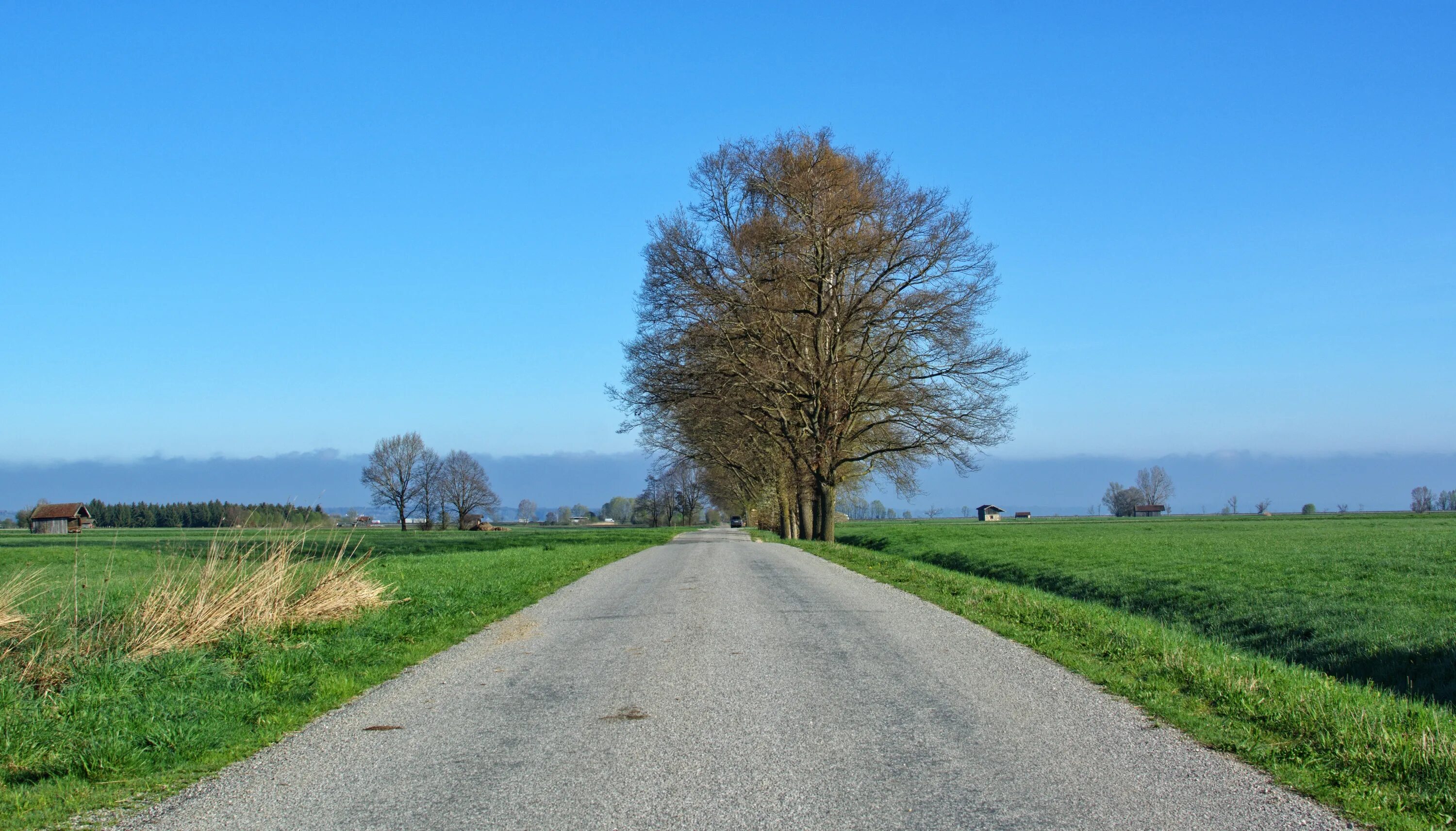 Далеки дороги широки. Трава у дороги. Весенняя дорога картинки. Pasture Road. Дорога с поле до фермы фото.