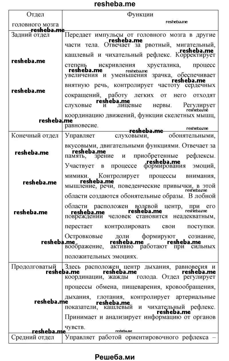 Строение и функции головного мозга