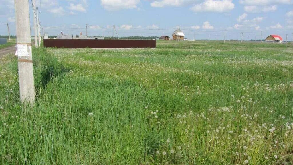 пустой участок земли. авито бесплатные объявления земельные участки. земельный участок. зем участок. земельные участки баннер.