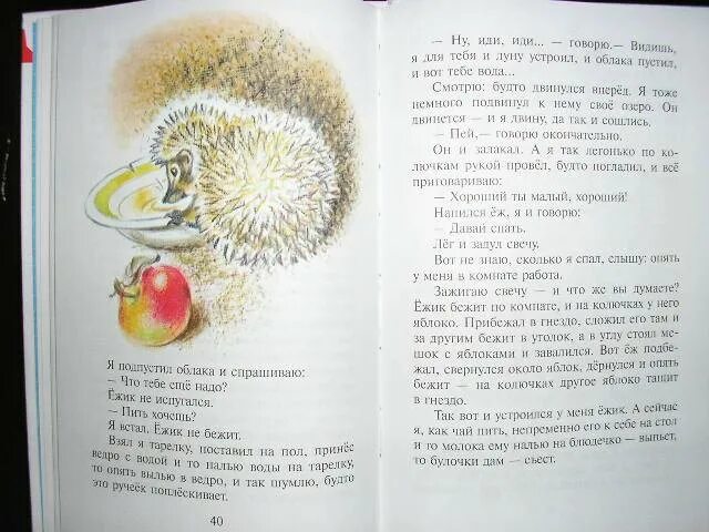 Рассказы о животных Бьянка слалков пришвин Скребецкий. Ежик пришвин. Еж рассказ. Пришвин еж.