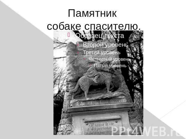 Памятник собаке академический. Памятник собаке изложение. Памятник собаке в париже сенбернару. Памятник лайке. Памятник собаке монти.