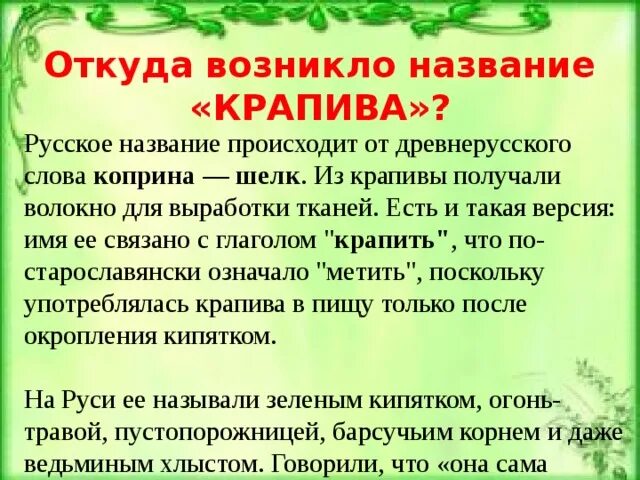 Почему крапива жжется. Почему крапива называется крапивой. Почему крапива так называется. Почему крапиву так назвали. Как появилась крапива