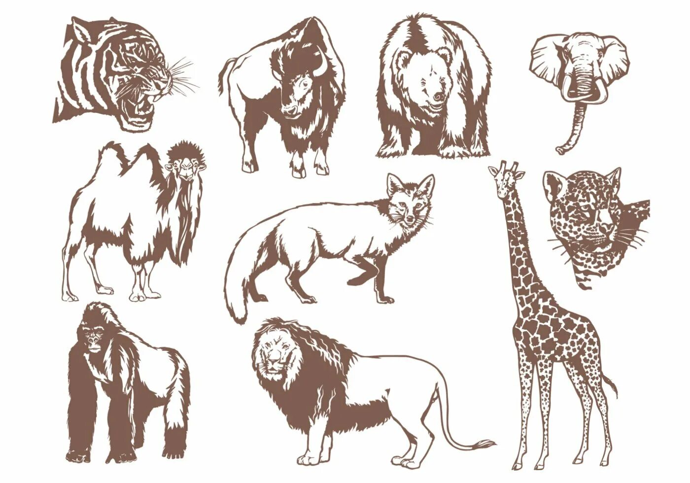 Животное графика рисунок. Рисунки животных. Стилизованный животные. Стилизованные рисунки животных. Растровые изображения животных.
