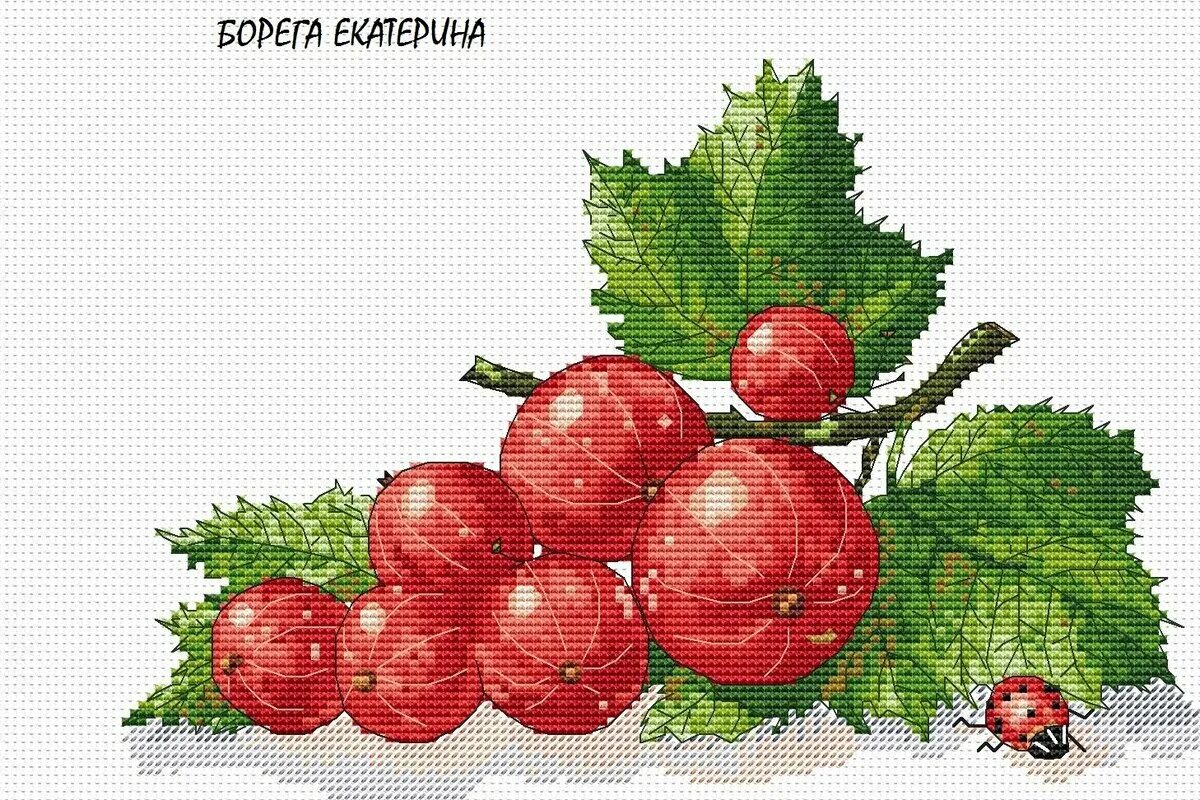 Смородинка группа в детском саду. Эмблема смородинка. Смородина карточка для детей. Куст смородины рисунок для детей. Фрукты детям в садике на шкафчики.