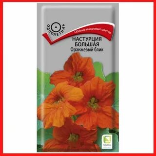Настурций блик