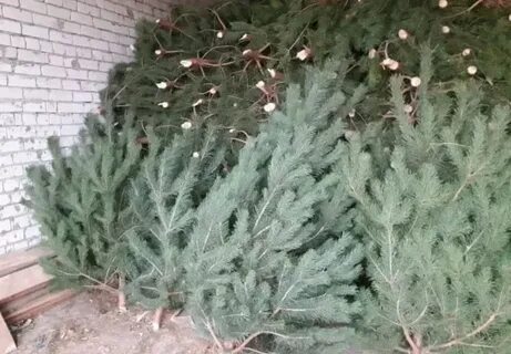 Новый год оптом