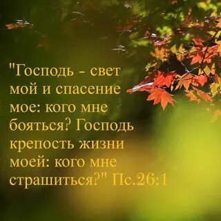 Зелень осень