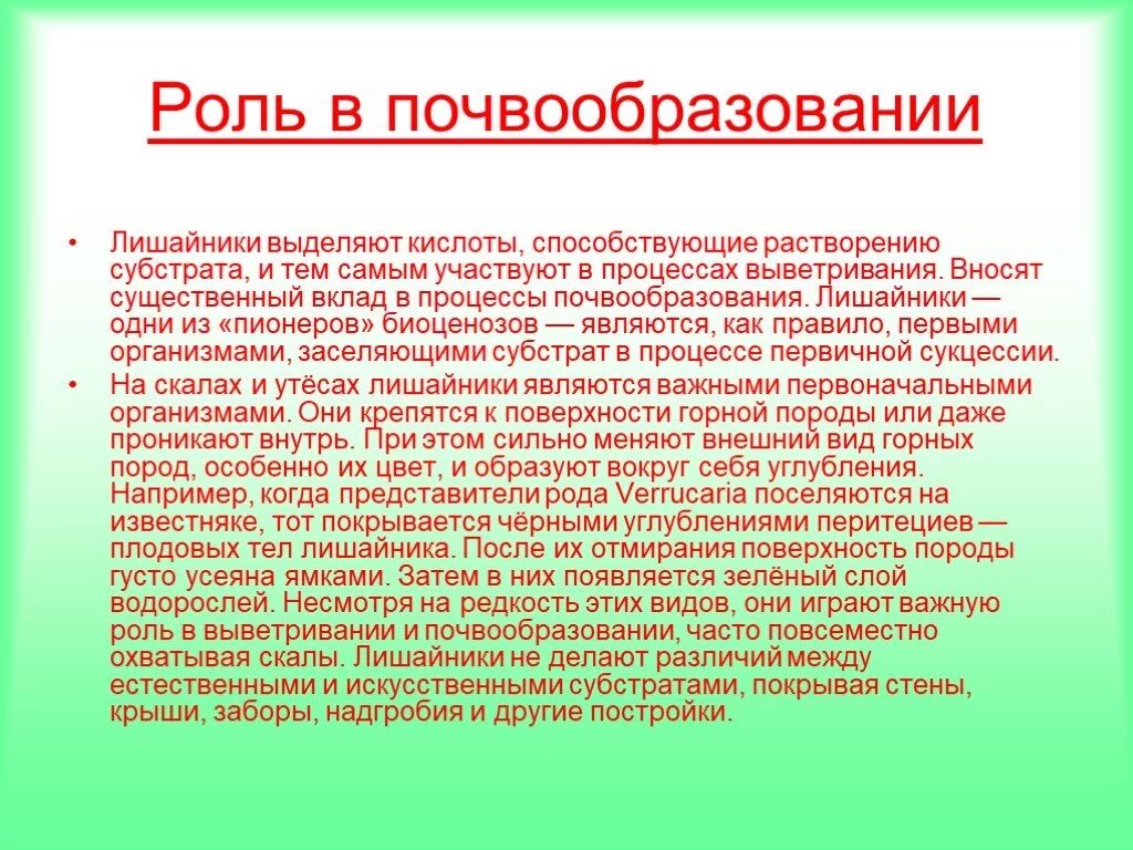 Микобионт это