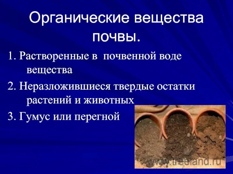 Назовите органические вещества почвы. Органическое вещество почвы. Органические примеси почвы. Органические соединения в почве. Органика в почве.