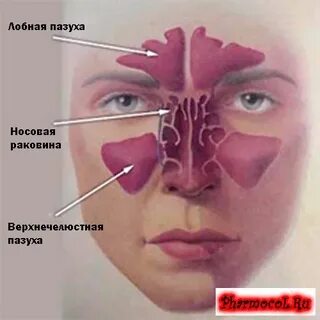 Болит пазуха и зубы