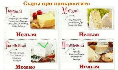 Сыр при язве желудка