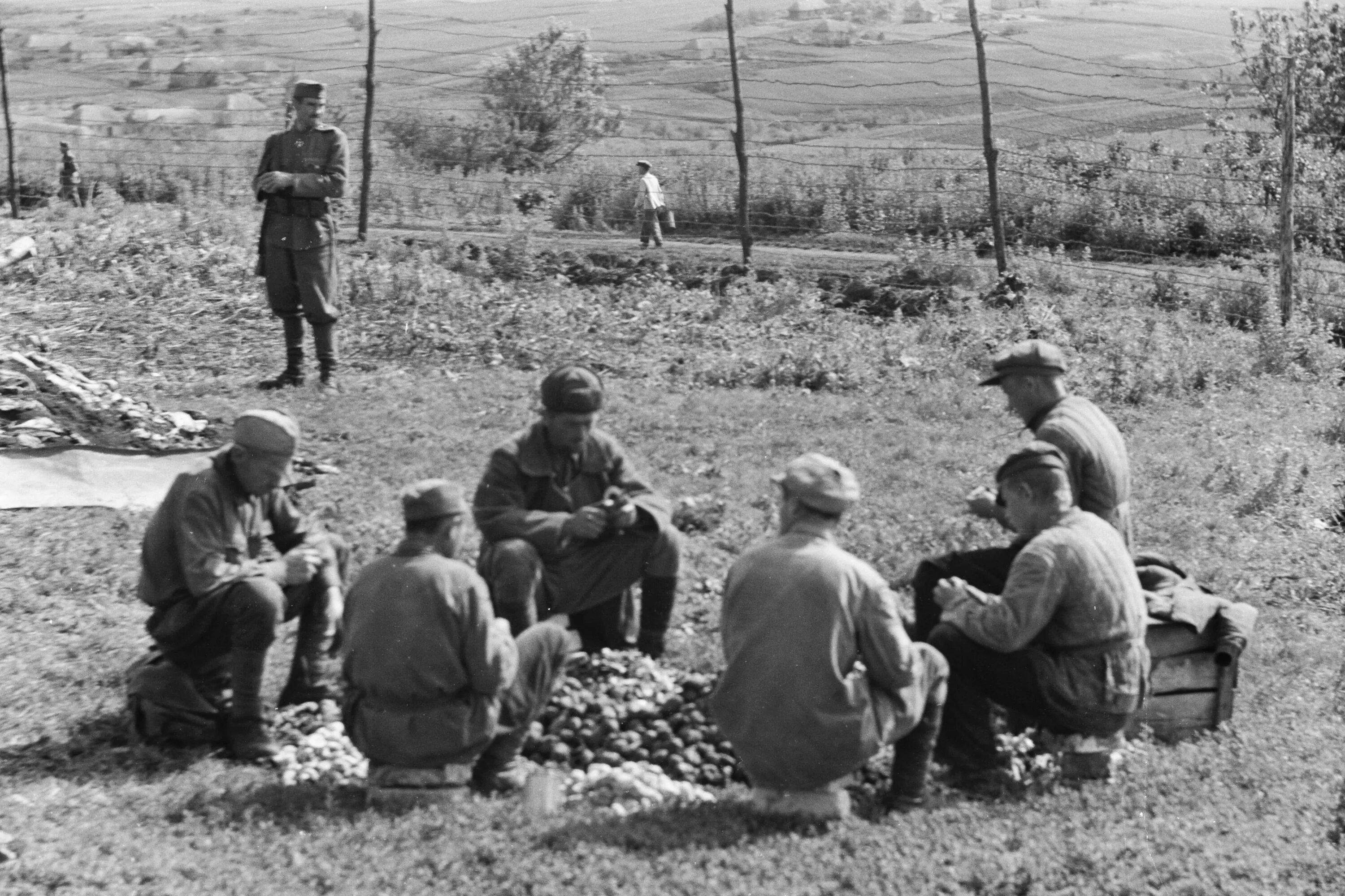 Пленные советские солдаты 1942. Лагерь немецких военнопленных 1942. 1942 Пленные венгерские солдаты. Венгерские военнопленные