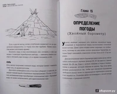 Выживальщик книга