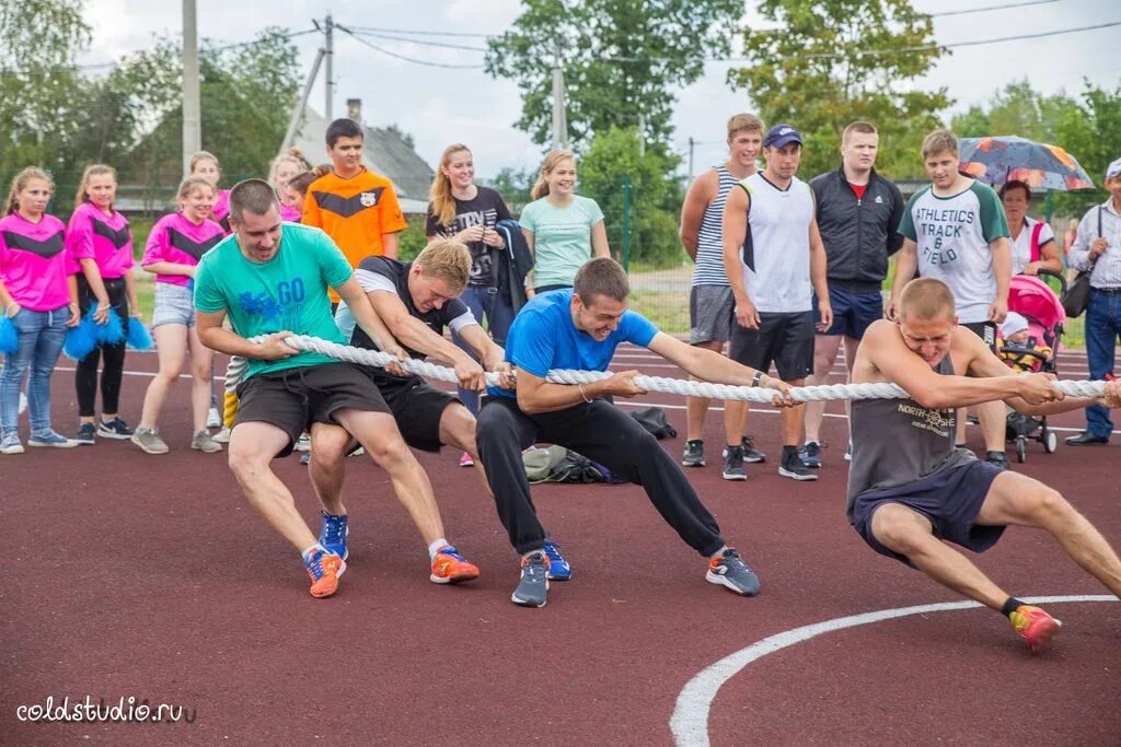 олимп майский логотип. 5 олимп. олимп бет. Olimp arena воронеж. 5 олимп.